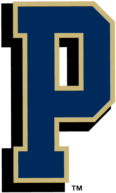 Pittsburgh Panthers 1997-Pres Alternate Logo diy fabric transfer